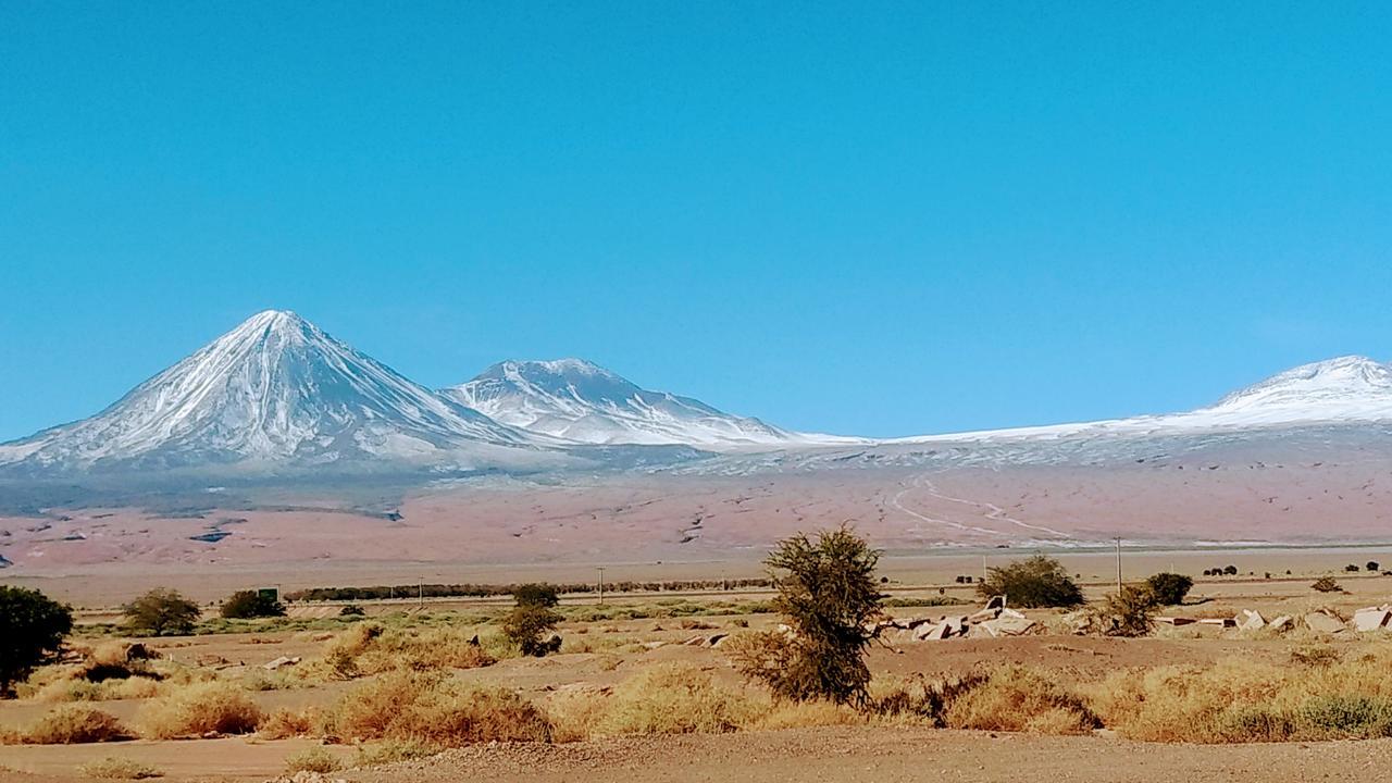 Atacama Budget Bed & Tours San Pedro de Atacama Eksteriør billede